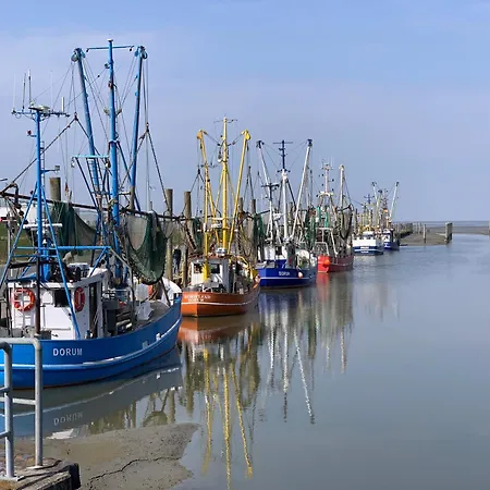 Seebrise Mit Sauna Und Balkon *